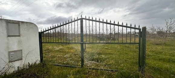  Land in Vila Nova da Baronia, Portugal No. 227868 2