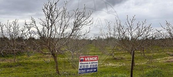  Land in Vila Nova da Baronia, Portugal No. 227868 4