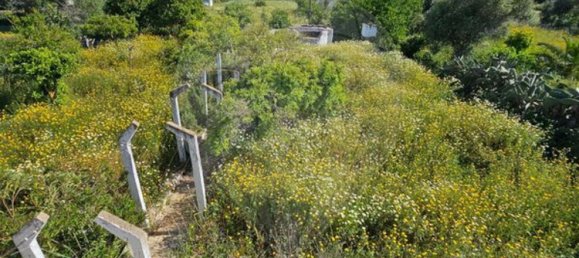 5 Schlafzimmer Haus in Olhao, Portugal, Nr. 24077 14