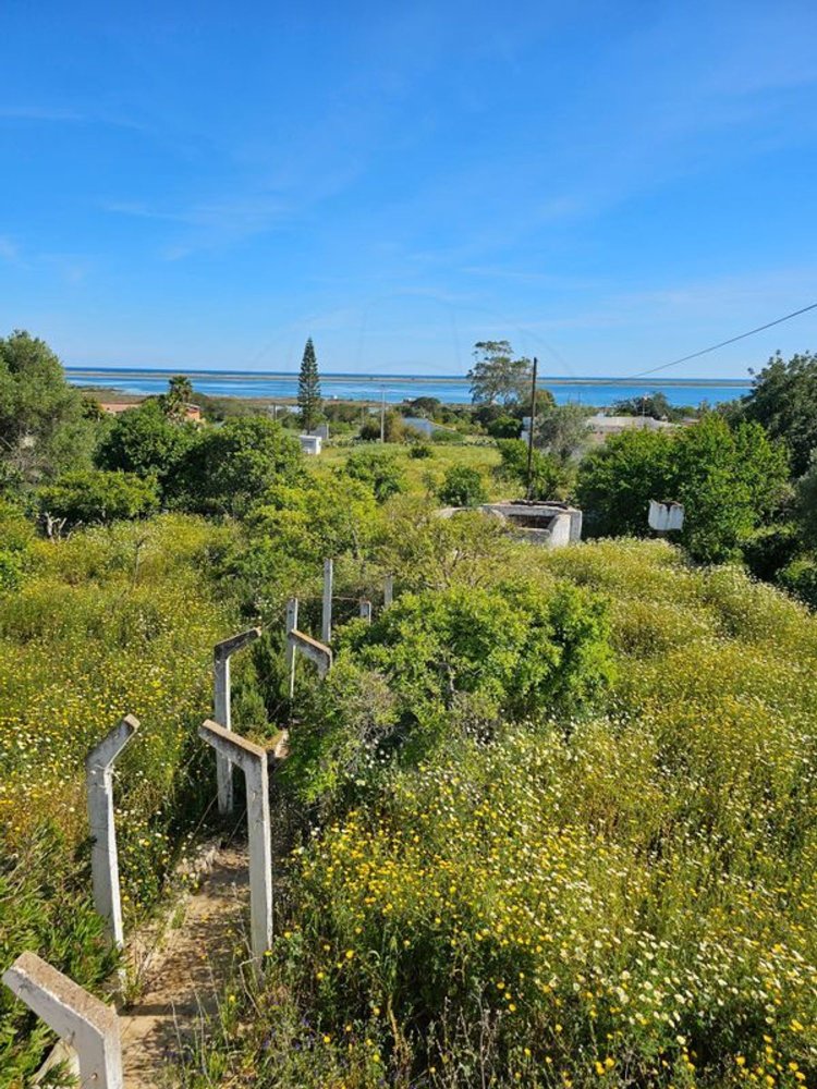 5 Schlafzimmer Haus in Olhao, Portugal, Nr. 24077