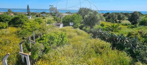 5 Schlafzimmer Haus in Olhao, Portugal, Nr. 24077 10