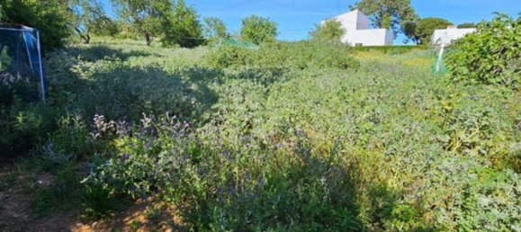 5 Schlafzimmer Haus in Olhao, Portugal, Nr. 24077 17