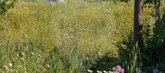 5 Schlafzimmer Haus in Olhao, Portugal, Nr. 24077 24