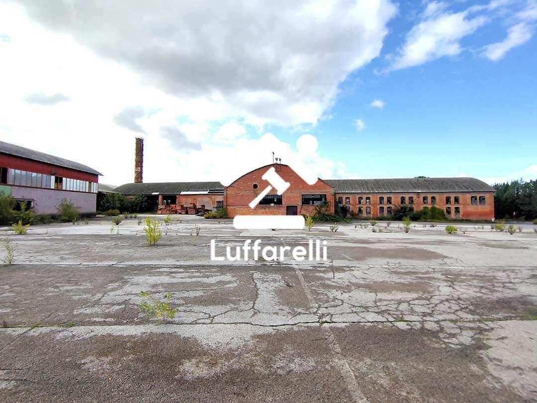 5 rooms Warehouse in Asciano, Italy No. 220075