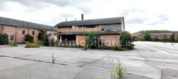 5 rooms Warehouse in Asciano, Italy No. 220075 6