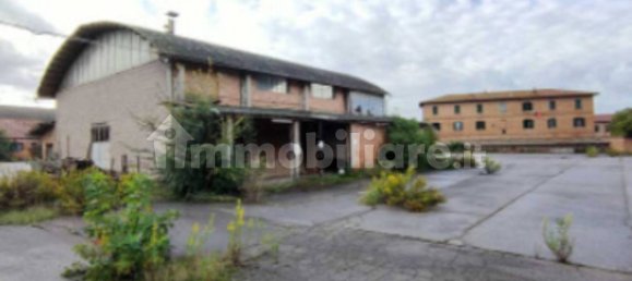 5 rooms Warehouse in Asciano, Italy No. 220075 5