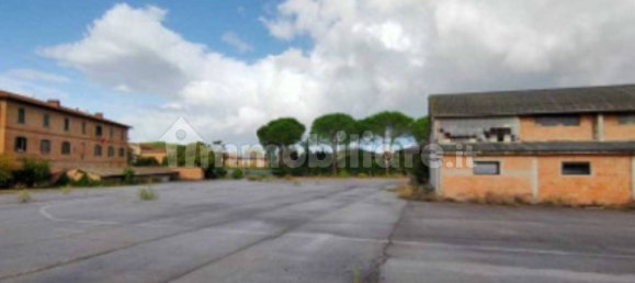 5 rooms Warehouse in Asciano, Italy No. 220075 9