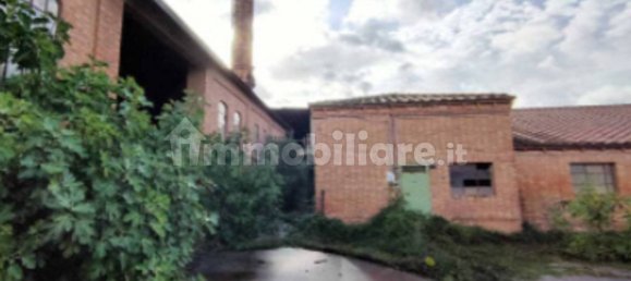 5 rooms Warehouse in Asciano, Italy No. 220075 7