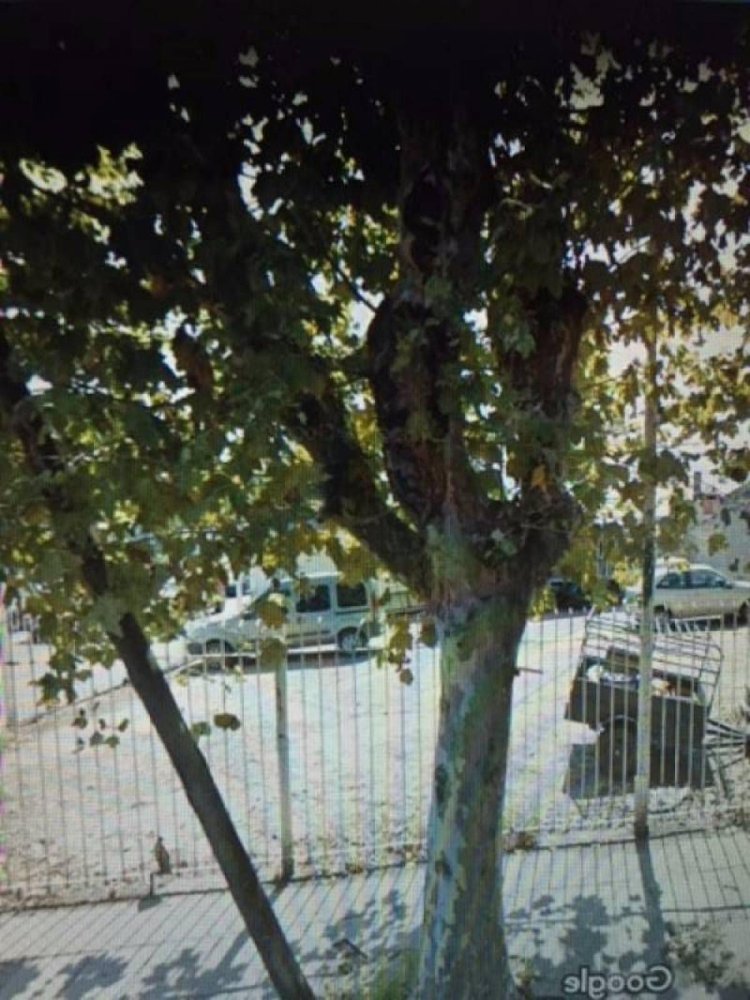 Grundstück in San Fernando, Argentina, Nr. 38188