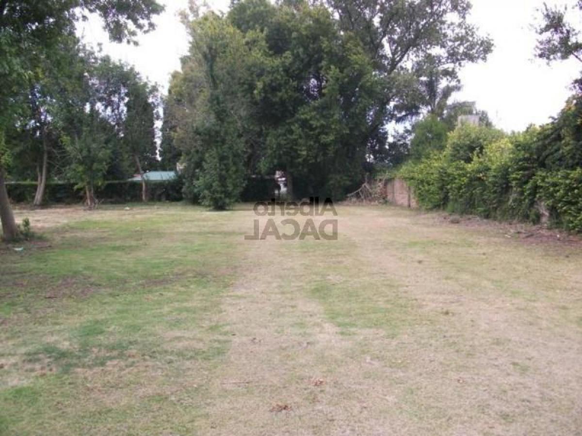  Land in Campo Creado, Argentina No. 40525