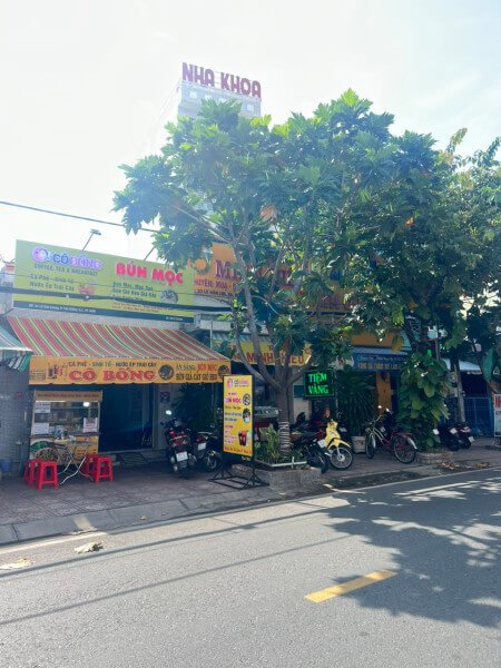 164m² House in District 7, Vietnam No. 13087