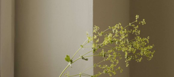 1 Schlafzimmer Wohnung in Schöneberg, Germany, Nr. 264757 6