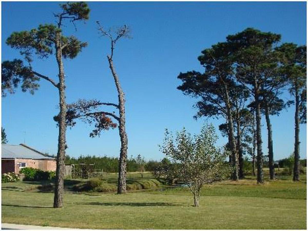  Farm in Maldonado, Uruguay No. 14302