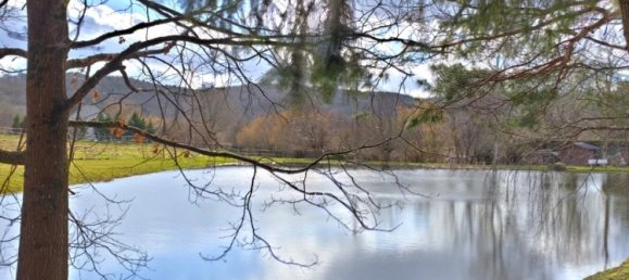 4 bedrooms House in Rouvray, France No. 205516 3