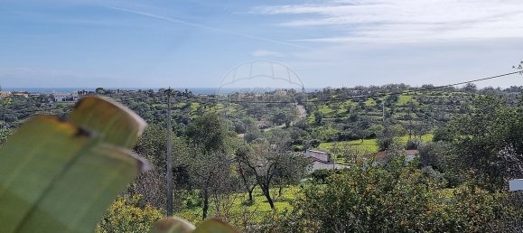 3 Schlafzimmer Villa in Loule, Portugal, Nr. 23286 8