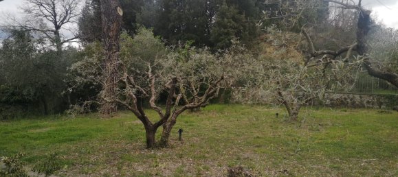 8غرفة فيلا في Montevarchi, Italy رقم 175208 5