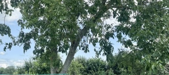 2 غرف نوم منزل في Niederentzen, France رقم 265503 8