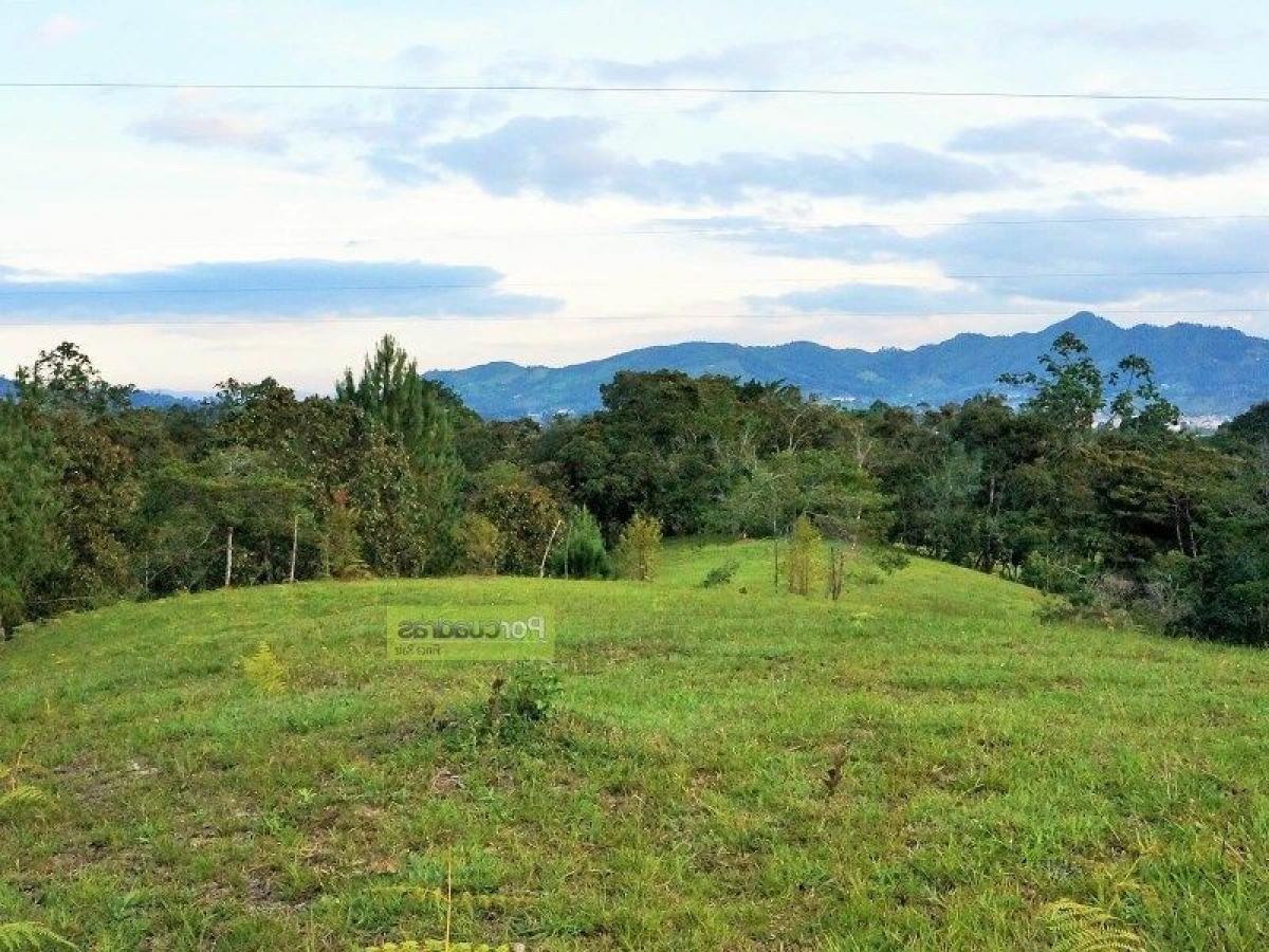 Земельный участок в Антьокия, Колумбия № 477