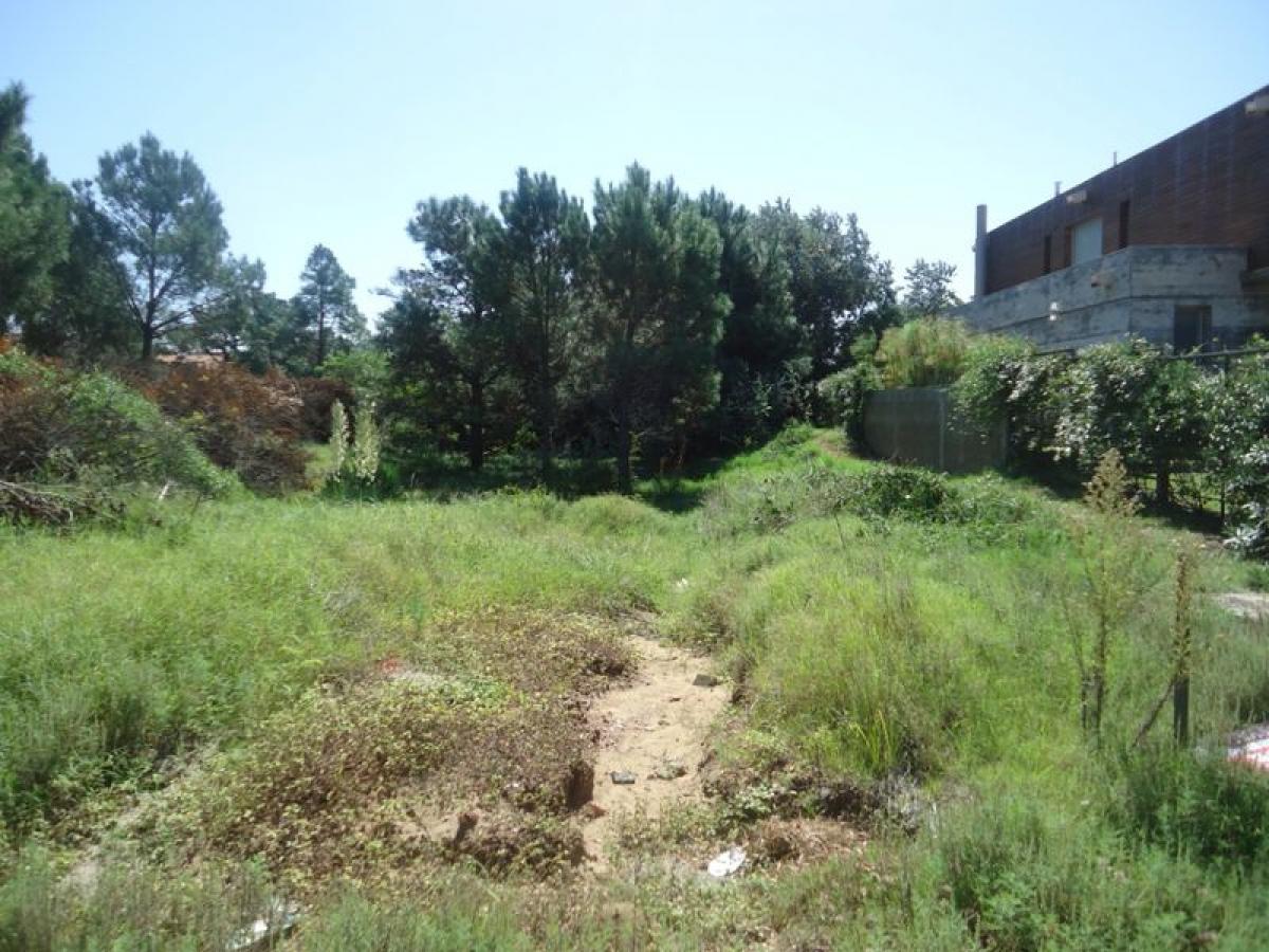 Grundstück in Maldonado, Uruguay, Nr. 14488