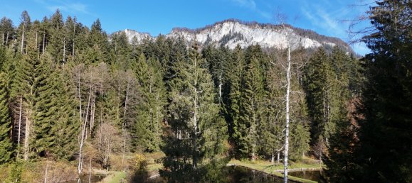Terrain à St. Johann in Tirol, Austria No. 17564 4