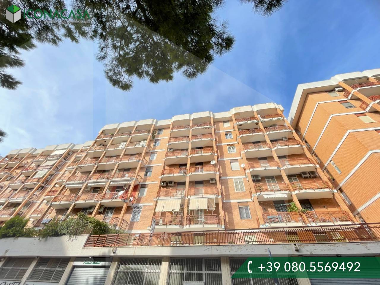 6 rooms Apartment in Bari, Italy No. 19186