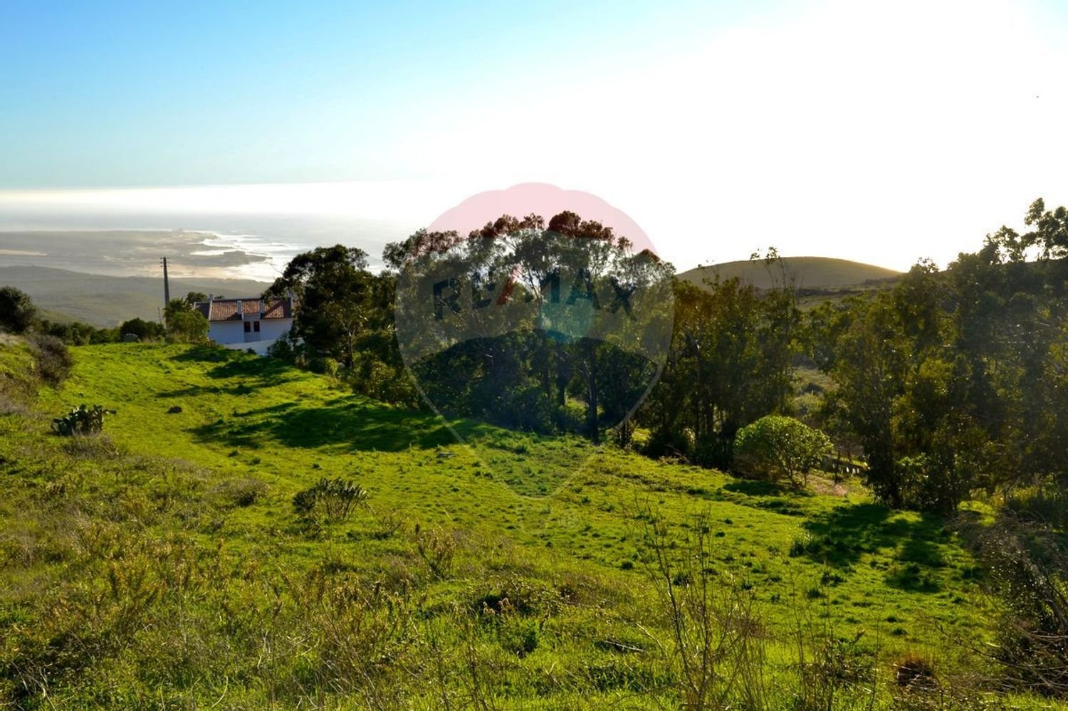  قطعة أرض في Cascais, Portugal 5120متر مربع رقم 85501