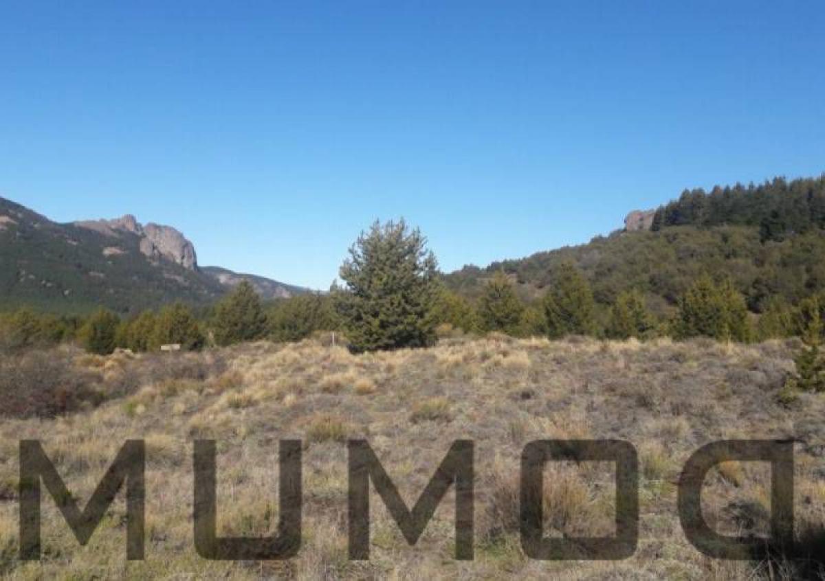 Земельный участок в Неукен, Аргентина № 38354