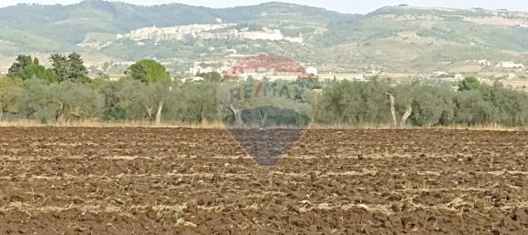 1 chambre Maison à Chiaramonte Gulfi, Italy No. 351541 17