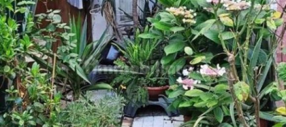 7 Schlafzimmer Villa in Pisa, Italy, Nr. 205264 12