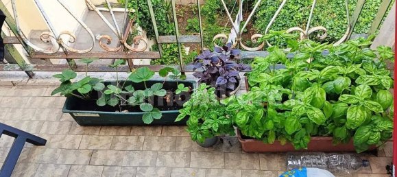 7 Schlafzimmer Villa in Pisa, Italy, Nr. 205264 14