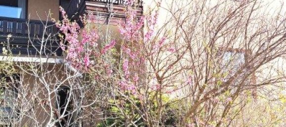 8-Zimmer Haus in Brunn am Gebirge, Austria, Nr. 218155 6