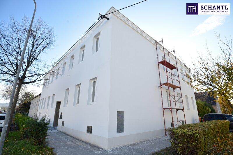 Gewerbliche Immobilie in Korneuburg, Austria 166m², Nr. 199330