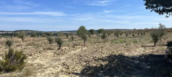  Land in Lespignan, France No. 323767 2