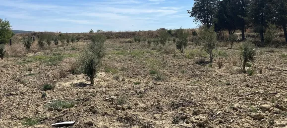  Land in Lespignan, France No. 323767 3