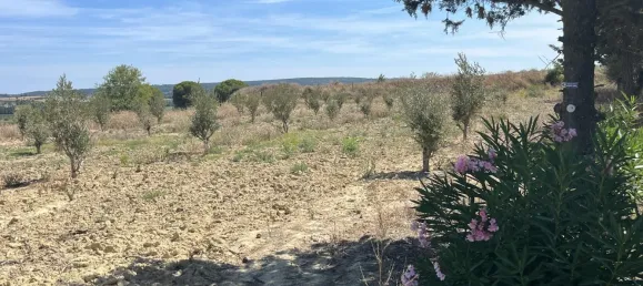  Land in Lespignan, France No. 323767 4