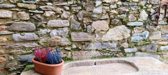 12 rooms House in Capannori, Italy No. 11006 83