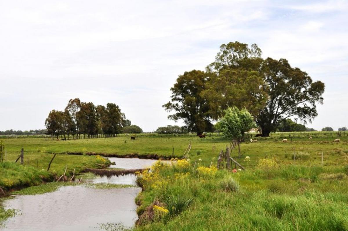  Land in Marcos Paz, Argentina No. 42613