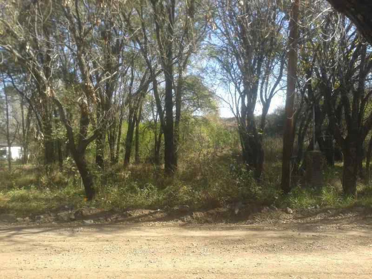 Grundstück in Cordoba, Argentina, Nr. 42729