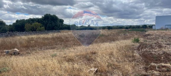 Grundstück in Monopoli, Italy 5000m², Nr. 262579 5