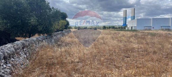 Grundstück in Monopoli, Italy 5000m², Nr. 262579 8