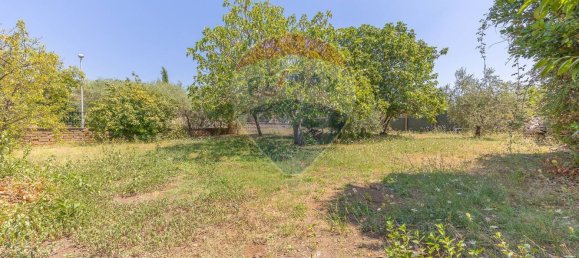 5 chambres Villa à Palestrina, Italy No. 348005 24