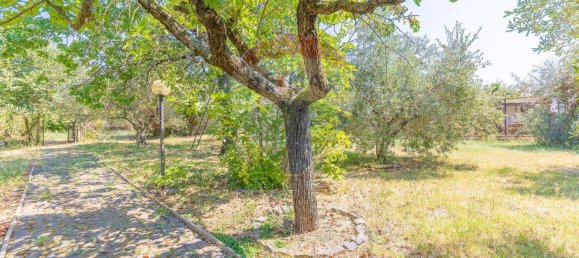 5 chambres Villa à Palestrina, Italy No. 348005 23