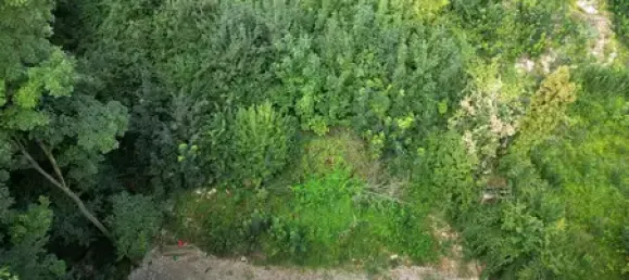  Land in Paderborn, Germany No. 345368 4