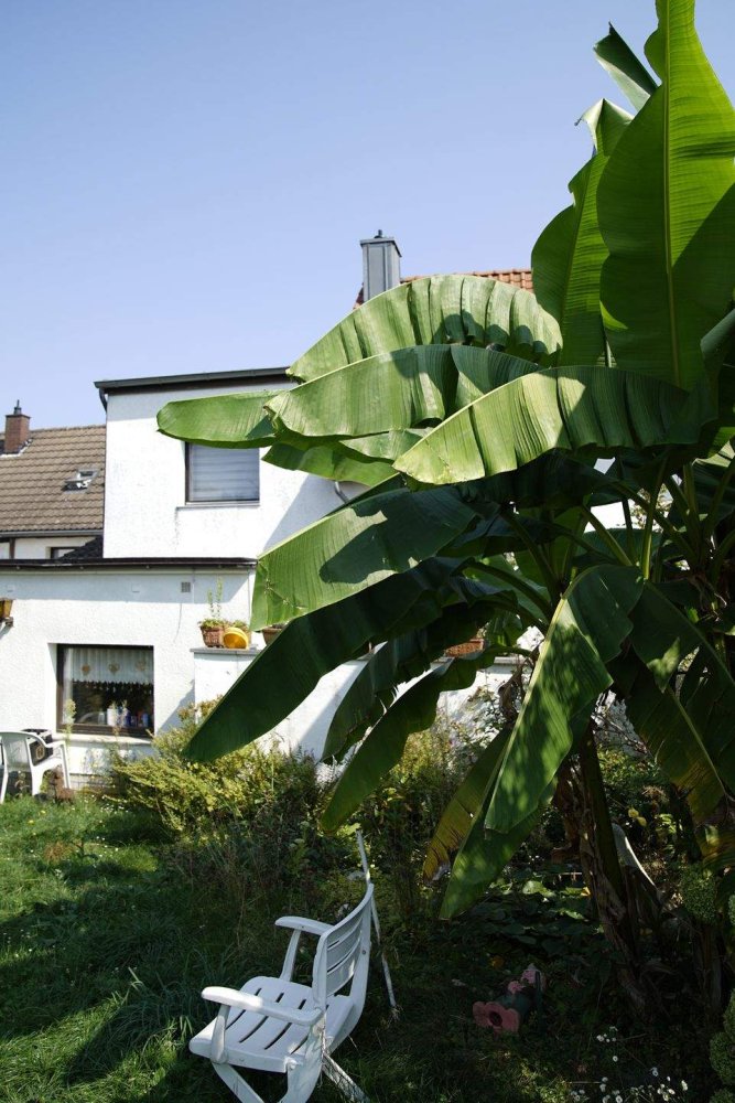 Adosado de 4 habitaciónes en Dusseldorf, Germany No. 357182