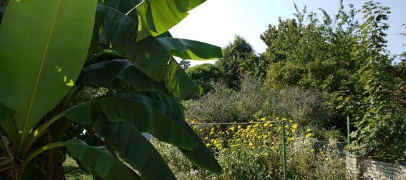 Adosado de 4 habitaciónes en Dusseldorf, Germany No. 357182 4
