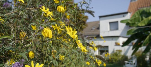 Adosado de 4 habitaciónes en Dusseldorf, Germany No. 357182 19