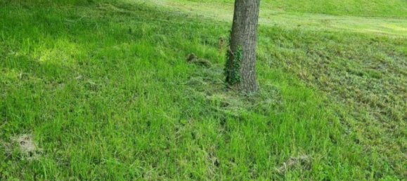 Земельный участок в Вальдинг, Австрия № 127941 7