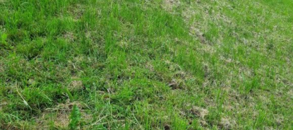 Земельный участок в Вальдинг, Австрия № 127941 2