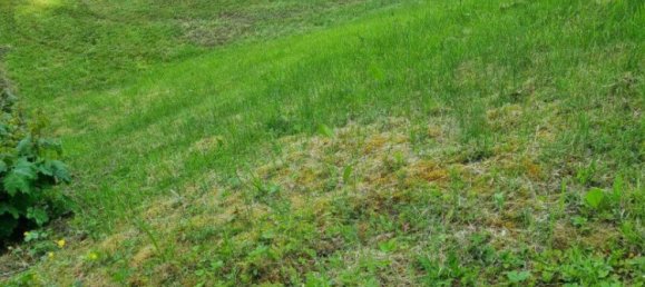 Земельный участок в Вальдинг, Австрия № 127941 9