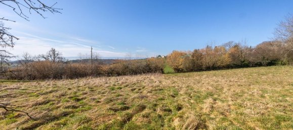 Grundstück in Sainte-Agathe-en-Donzy, France 1254m², Nr. 319302 5